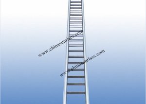 Stainless Steel Inclinde Ladder