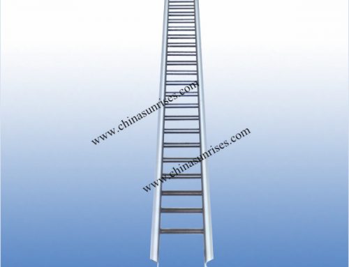 Stainless Steel Inclinde Ladder