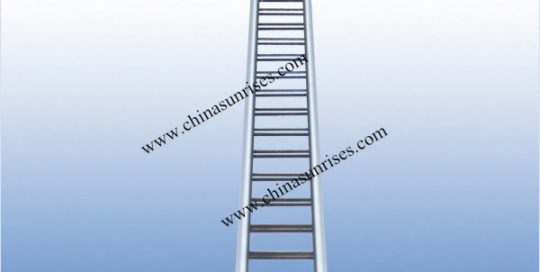 Stainless Steel Inclinde Ladder