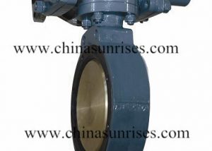 Butterfly Valve