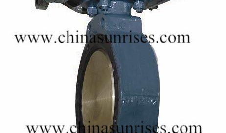 Butterfly Valve