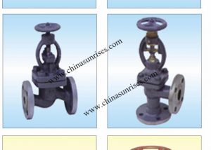 Globe Valve