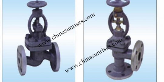 Globe Valve