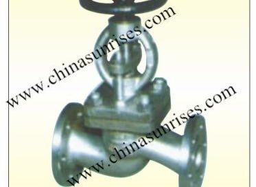 Stainless Steel Stop Check Valve