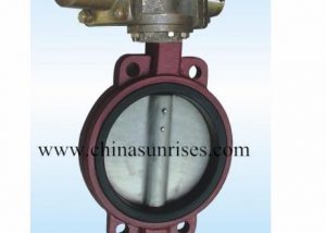 Hydraulic Butterfly Valve