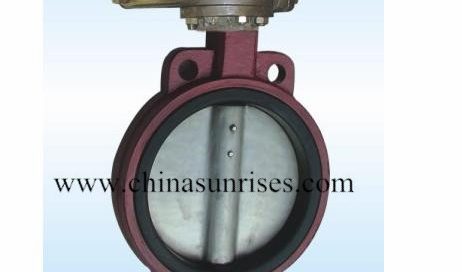 Hydraulic Butterfly Valve