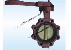 Lug Type Butterfly Valve