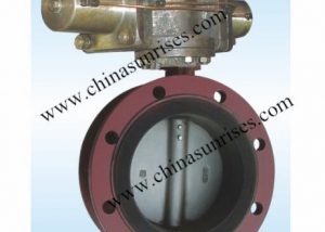 Eccentric Butterfly Valve Flange Type