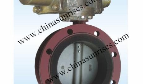 Eccentric Butterfly Valve Flange Type